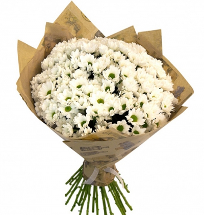 Muratpaşa Çiçekçi Beyaz Papatya Buketi