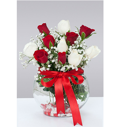 siyah orta boy kutuda 11 kırmızı gül Çiçeği & Ürünü Cam Fanusta Kırmızı Beyaz Güller 