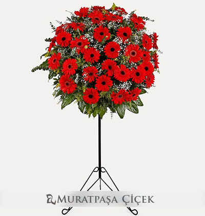 mini antoryum bitkisi Çiçeği & Ürünü Kırmızı Gerbera Ferforje 