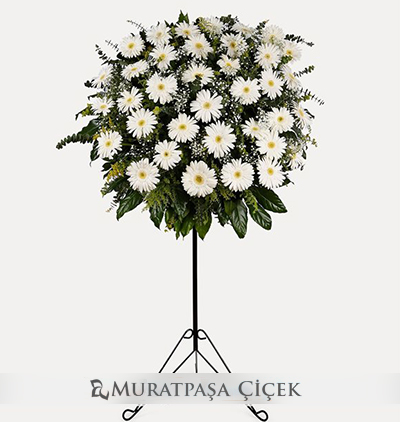  Çiçeği & Ürünü Beyaz Gerbera Ferforje 