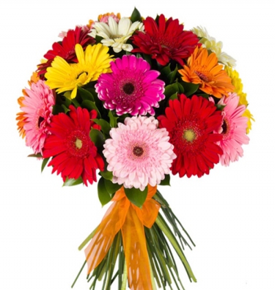 cam fanusta 7 adet kırmızı gül Çiçeği & Ürünü Renkli Gerbera Buketi 