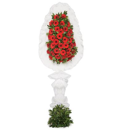  Muratpaşa Çiçek Kırmızı Gerbera Sepet/Çelenk
