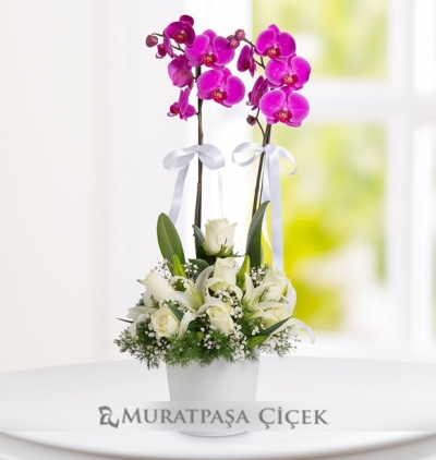 mutluluk küresi Çiçeği & Ürünü Mor Orkideli Aranjman 