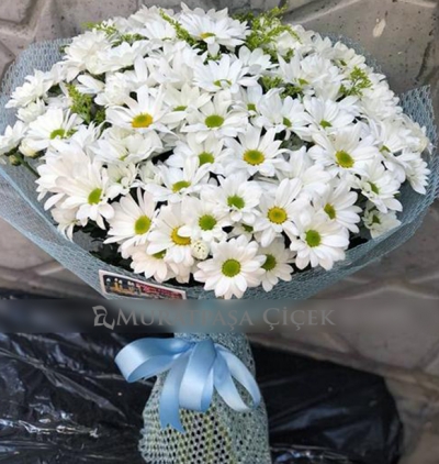 21 adet beyaz  gül buketi Çiçeği & Ürünü Beyaz Kasımpatı Demeti 
