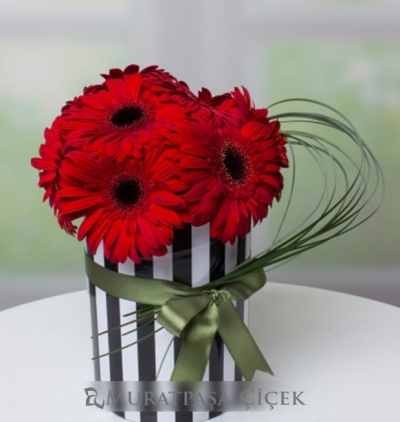 cam fanusta 7 kırmızı gül Çiçeği & Ürünü Zebra Kutuda Kırmızı Gerberalar 