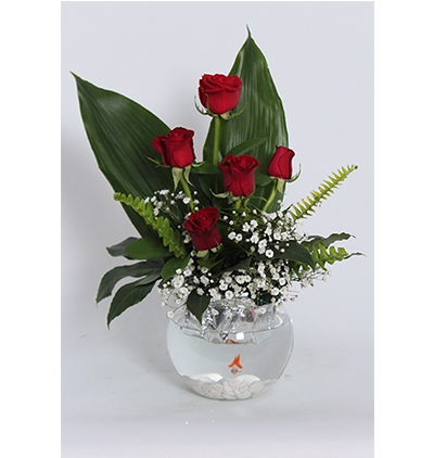 cam fanusta kırmızı beyaz güller Çiçeği & Ürünü Cam Fanusta 5 Güllü Balıklı Aranjman 