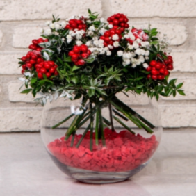product-nav-img